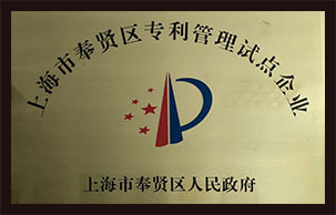 盈泰榮譽5
